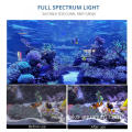 Illuminazione per acquari di barriera corallina ad alto watt per acqua salata